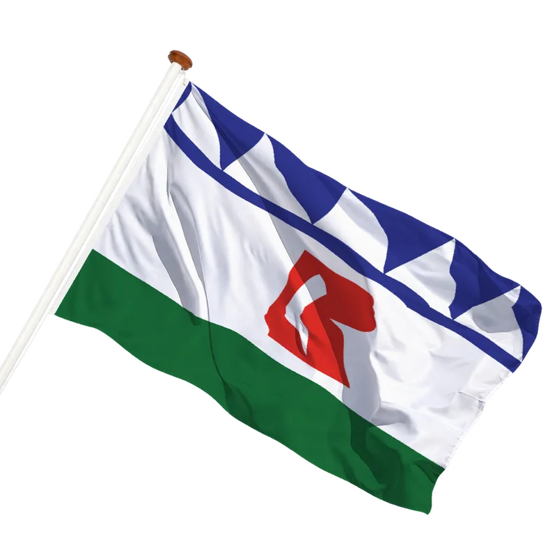 Flag of Rincon