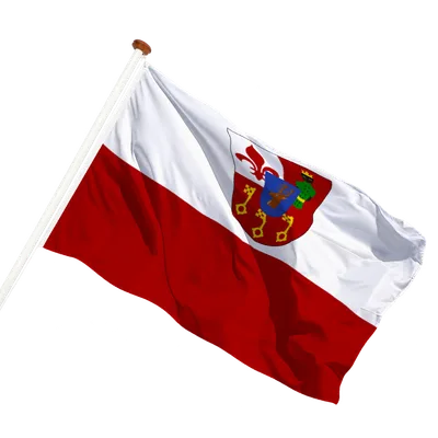 transparent background