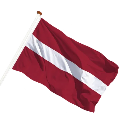 transparent background