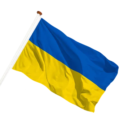 transparent background