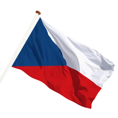 transparent background