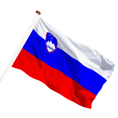 transparent background