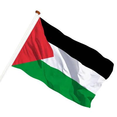 transparent background