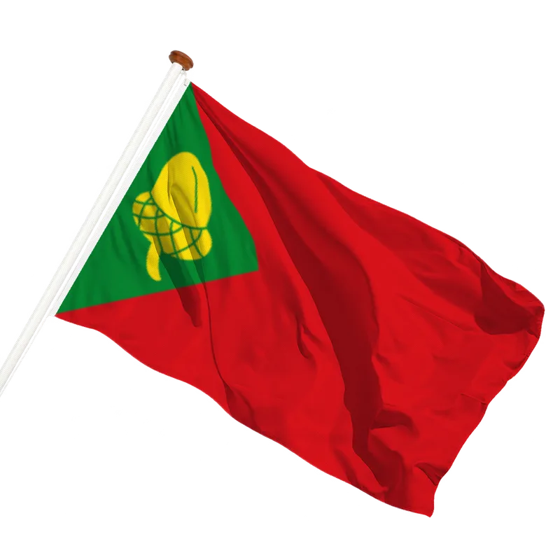 Flag of Noordbergum