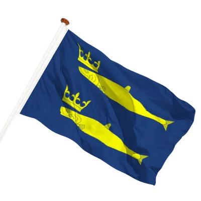 transparent background
