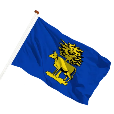 transparent background