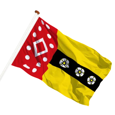 transparent background