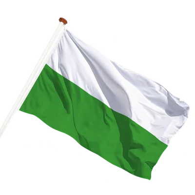 transparent background