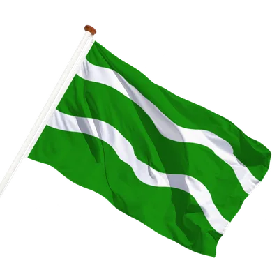 transparent background