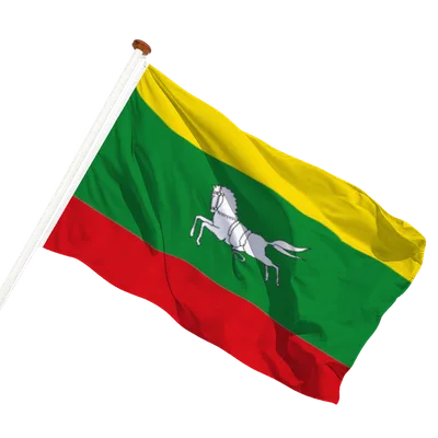 transparent background
