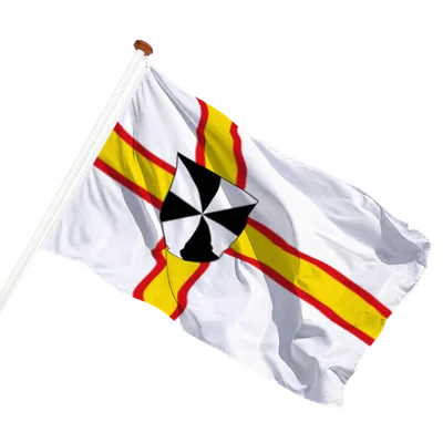 transparent background