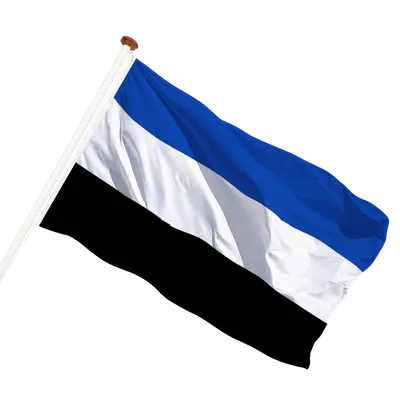transparent background