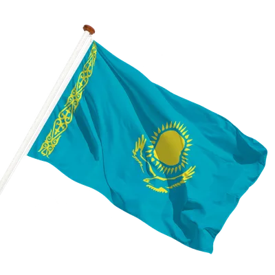 transparent background