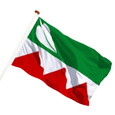 transparent background