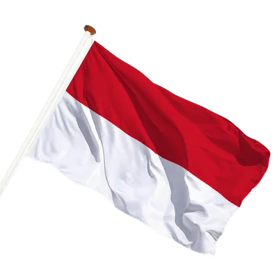 transparent background