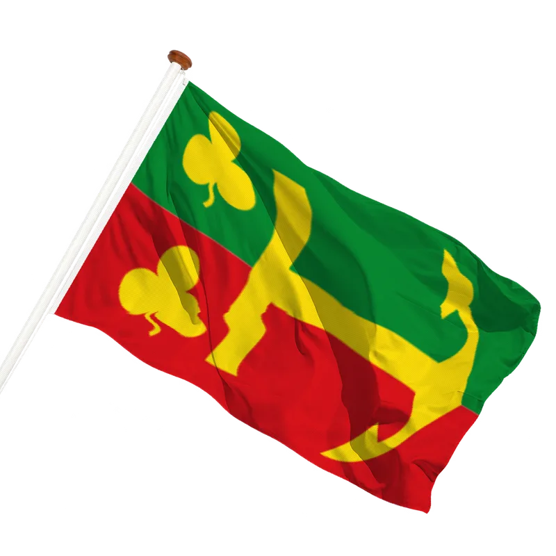 Flag of Paesens