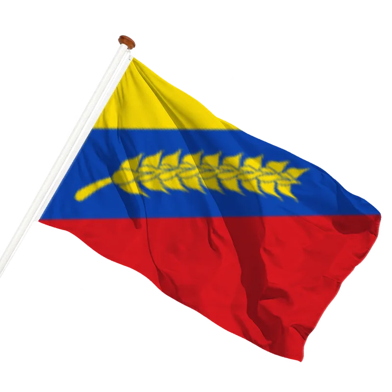 Flag of Tzummarum