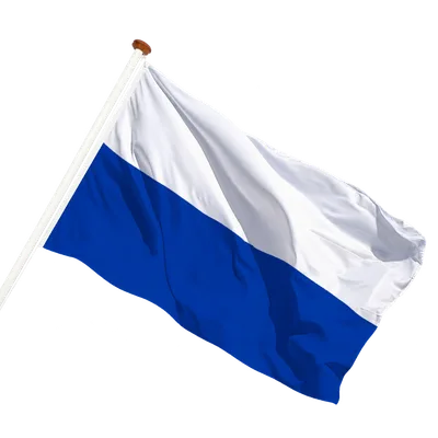 transparent background