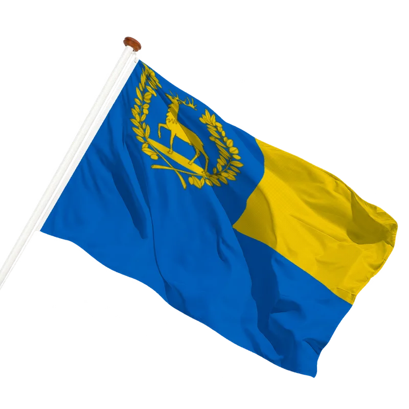 Flag of Epe