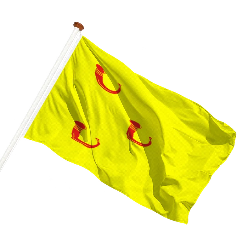 Flag of Leende