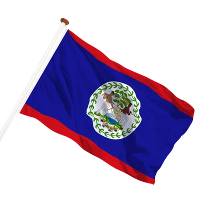 transparent background