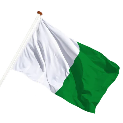 transparent background