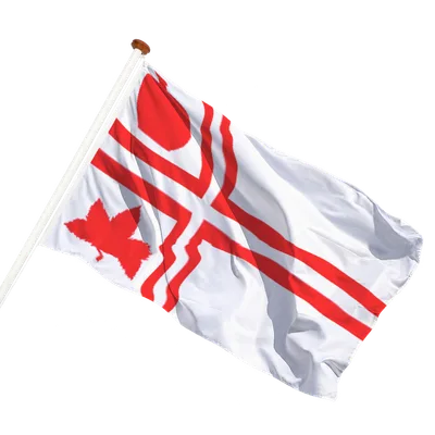 transparent background