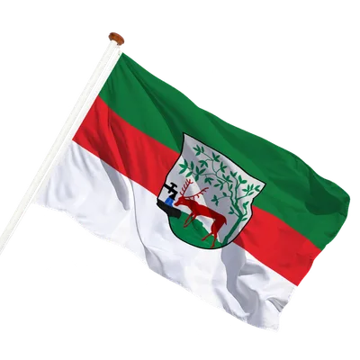 transparent background