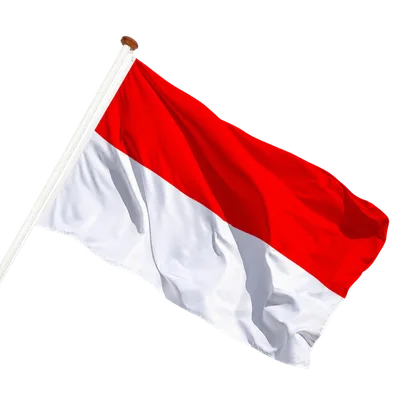 transparent background