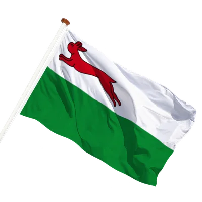 transparent background