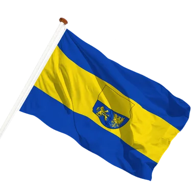 transparent background