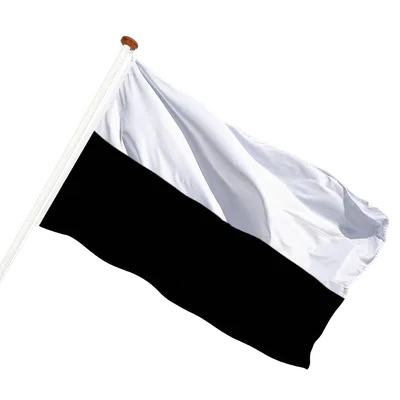 transparent background