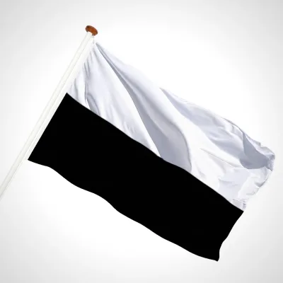 white background
