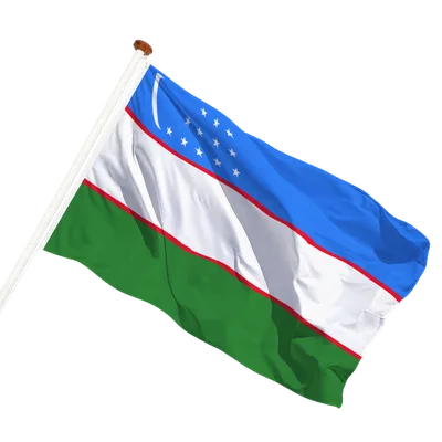 transparent background