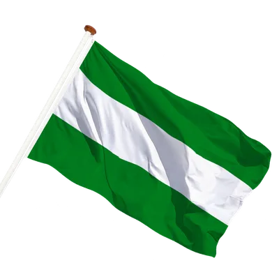 transparent background