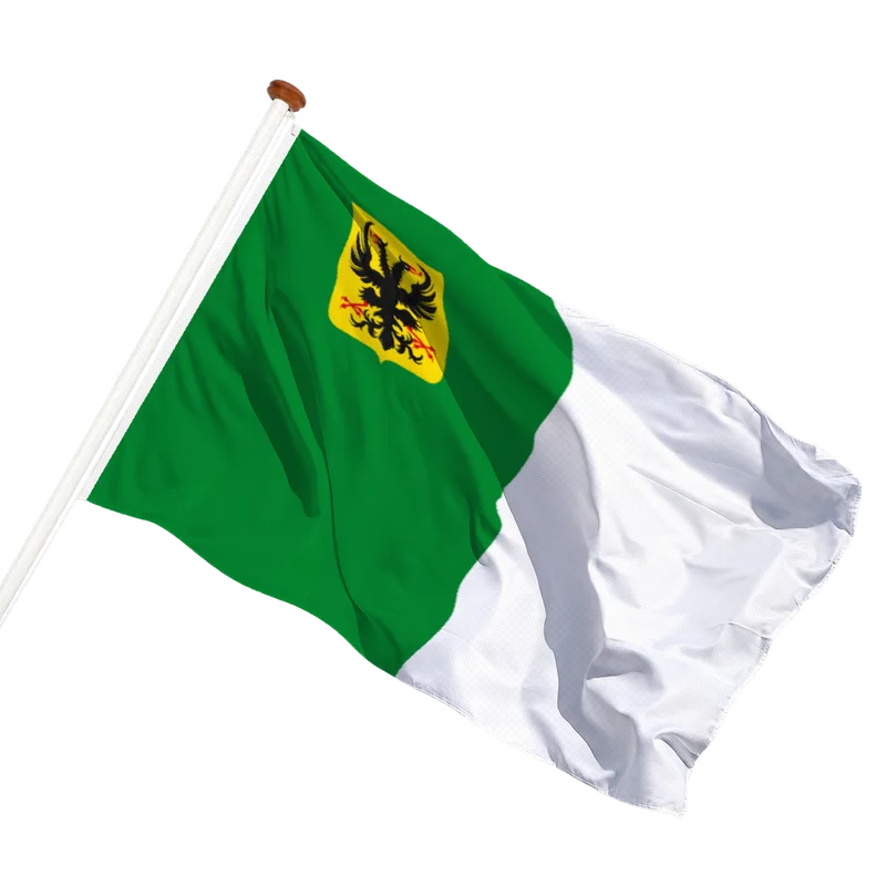 Flag of Ronse