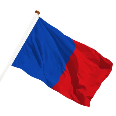 transparent background