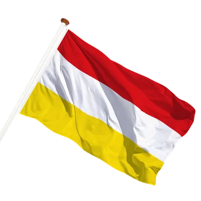 transparent background