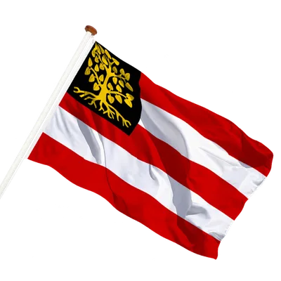 transparent background