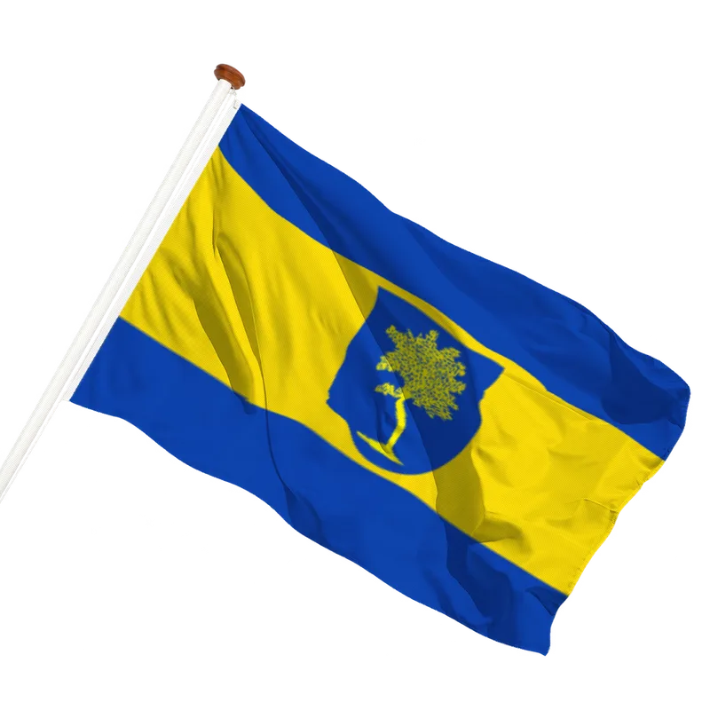 Flag of Hoogwoud