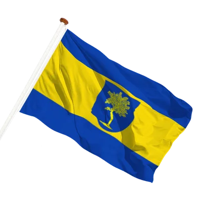 transparent background