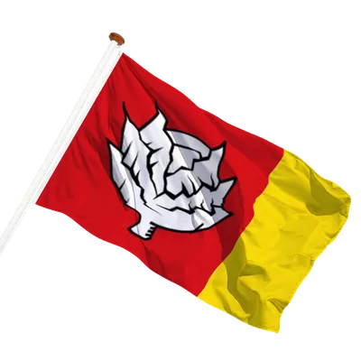 transparent background