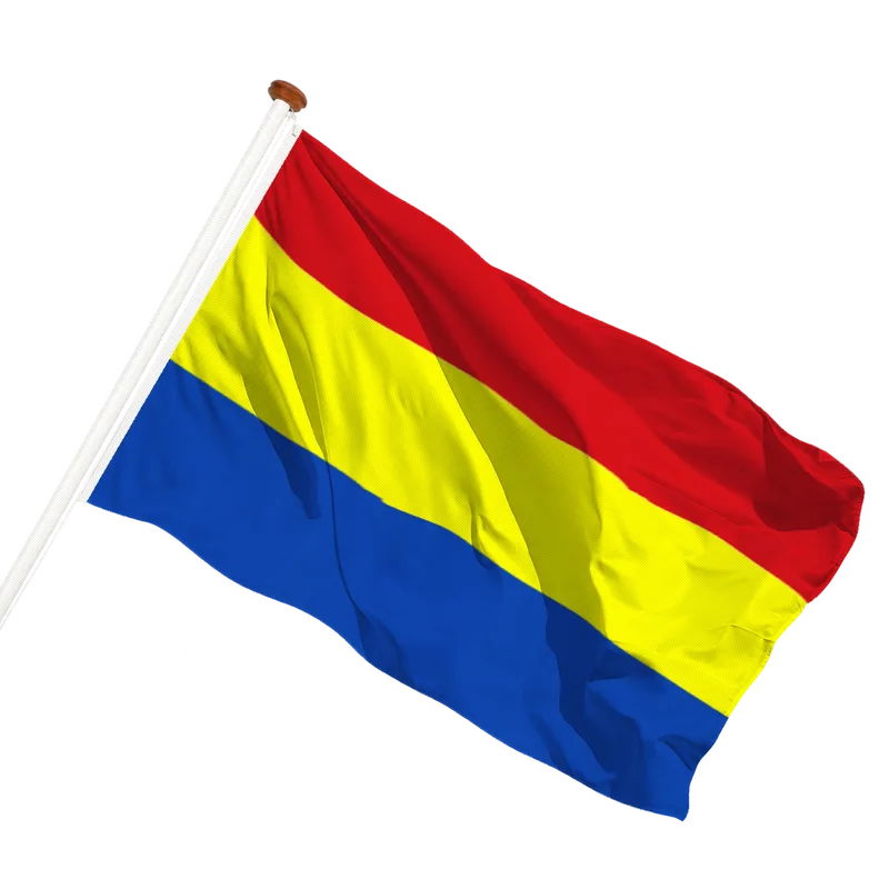 Flag of Oude Leije