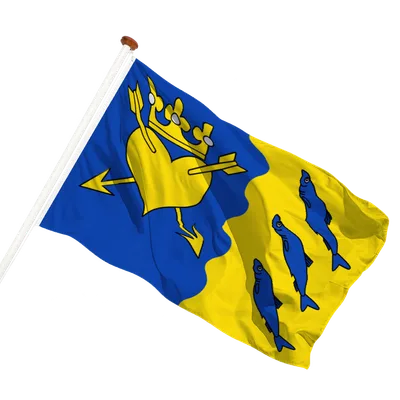 transparent background
