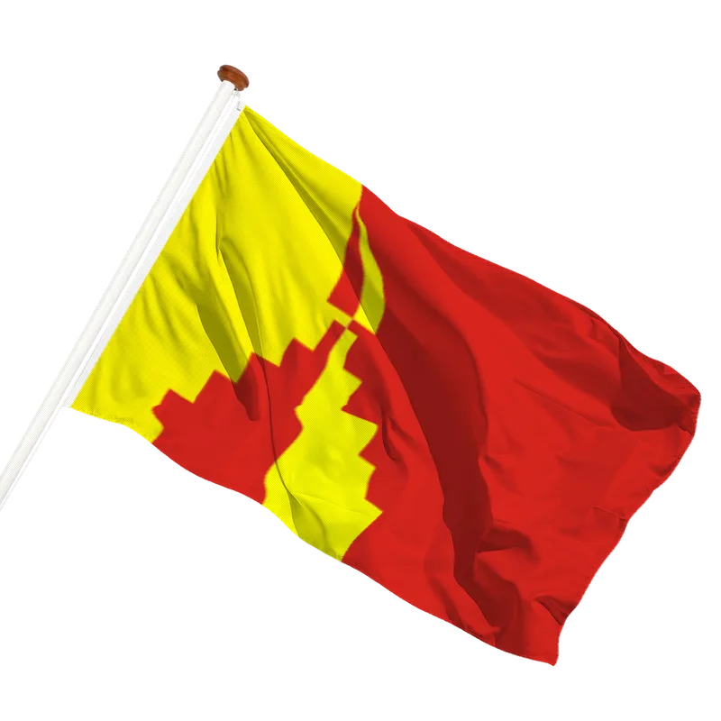 Flag of Anloo