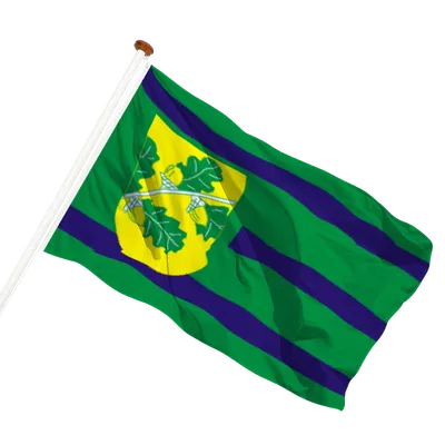 transparent background