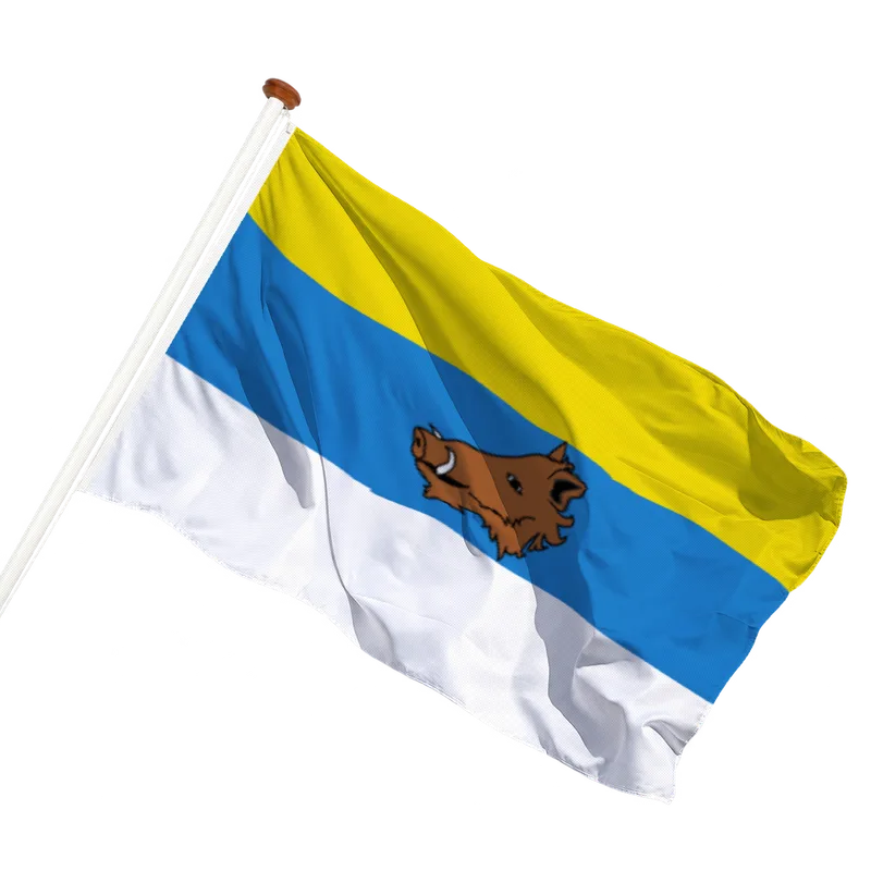 Flag of Zaventem