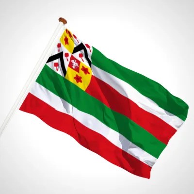 white background