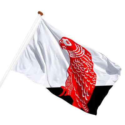 transparent background