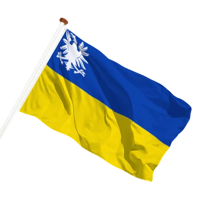 transparent background